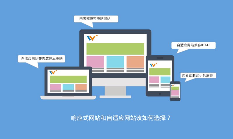 岳阳网站建设：新手与专业人士的选择