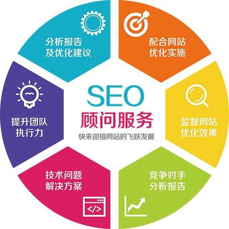 岳阳网络公司的崛起之路：从地方小企业到区域领军者